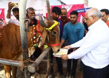 સરઢવ ખાતે પશુઓના રસીકરણથી પશુરોગ નિયંત્રણનો પ્રારંભ કરાવતા ભૂપેન્દ્ર પટેલ