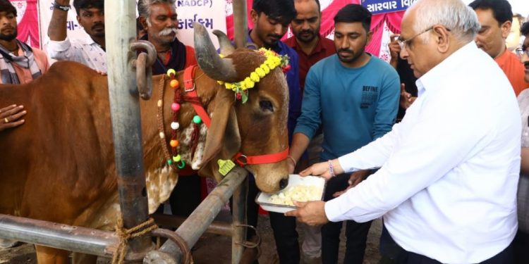સરઢવ ખાતે પશુઓના રસીકરણથી પશુરોગ નિયંત્રણનો પ્રારંભ કરાવતા ભૂપેન્દ્ર પટેલ